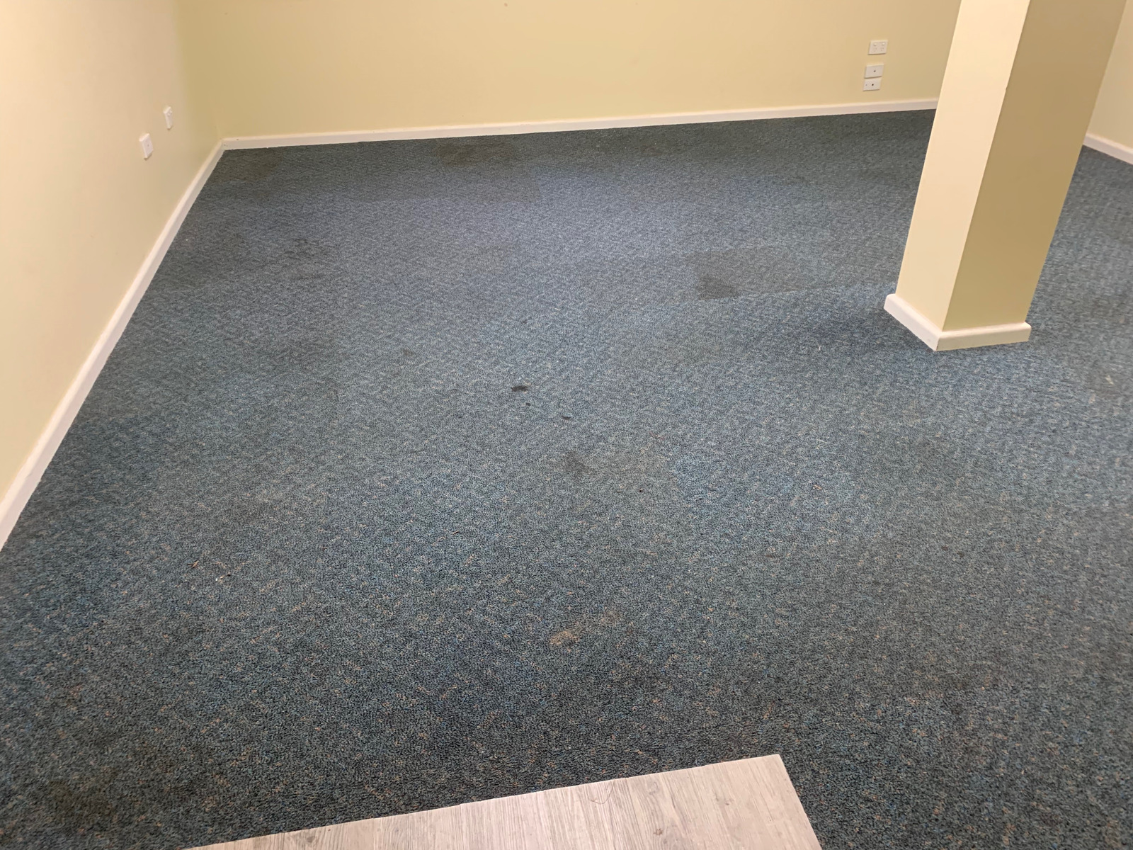 Commercial Carpet office before professional steam cleaning in Tuggerah