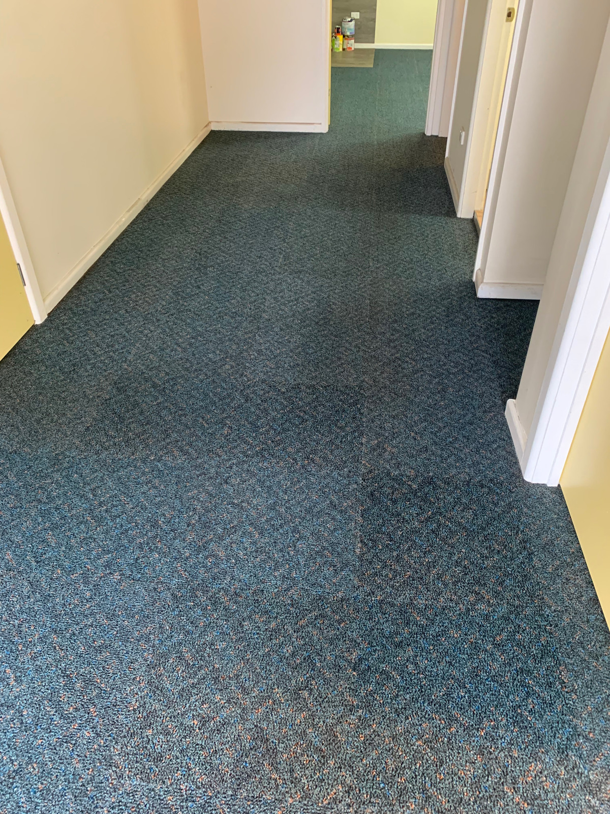 Commercial Carpet Cleaned Entrance after expert steam cleaning in Tuggerah