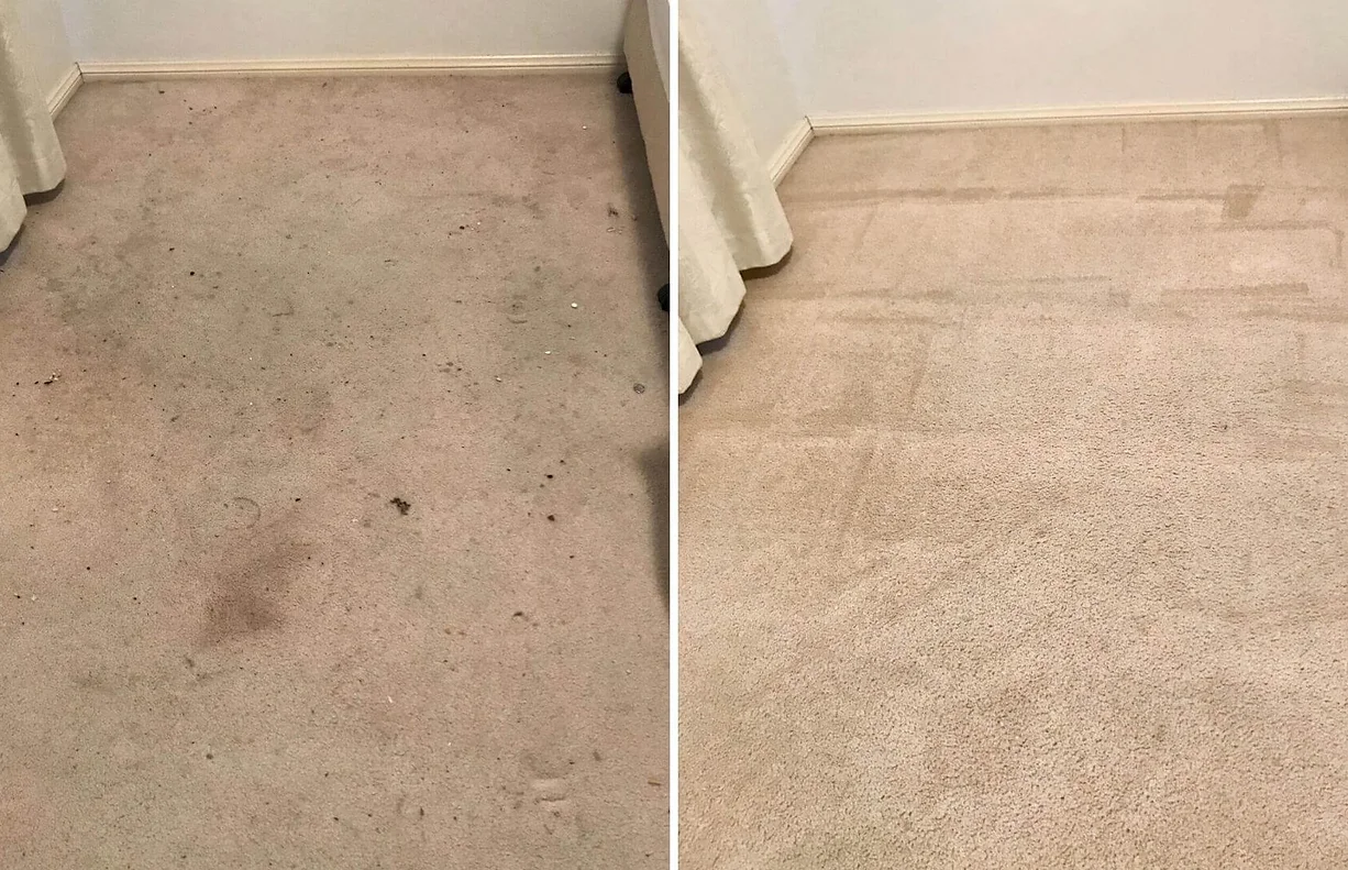 Bedside carpet stain removal and carpet cleaning