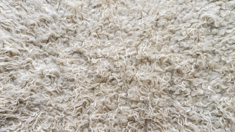 wool rug