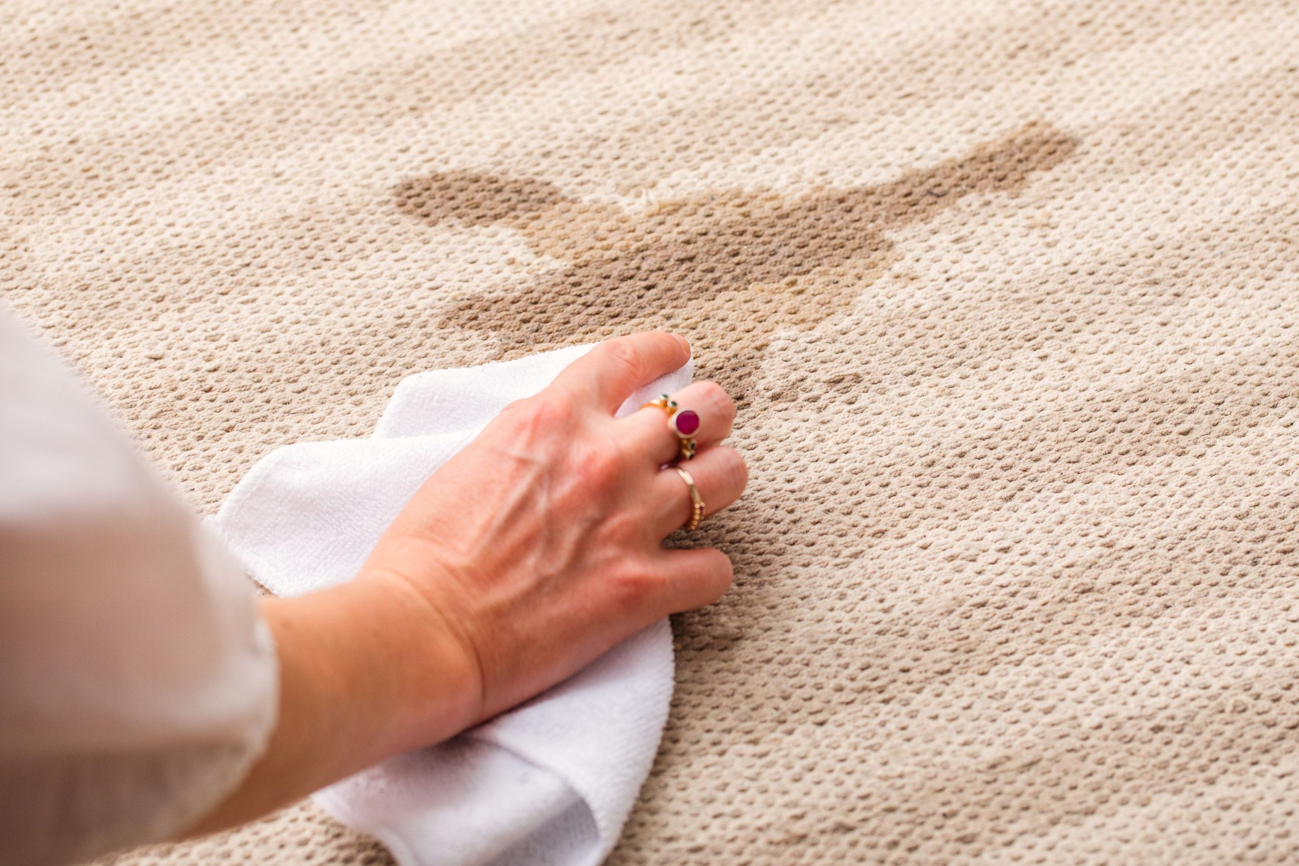 Proper blotting technique for carpet stain removal - Central Coast carpet cleaning tips