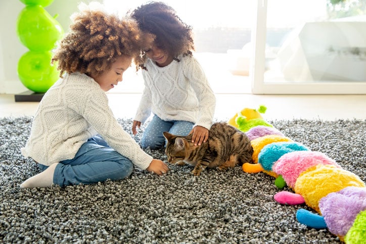 Pet-friendly carpet cleaning solutions safe for families Central Coast