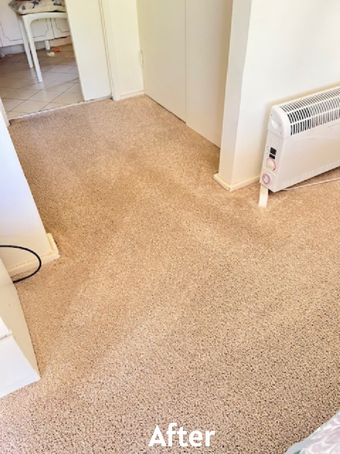 Cleaned Entrance carpet after expert steam cleaning in Avoca Beach
