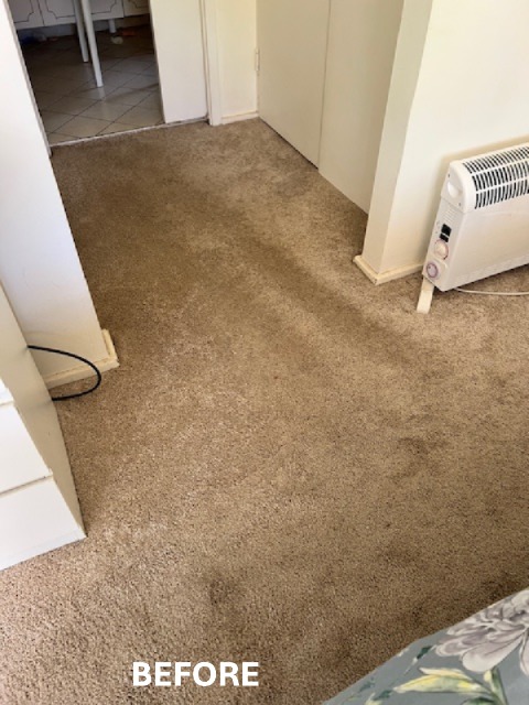 Entrance dirty carpet before professional steam cleaning in Avoca Beach