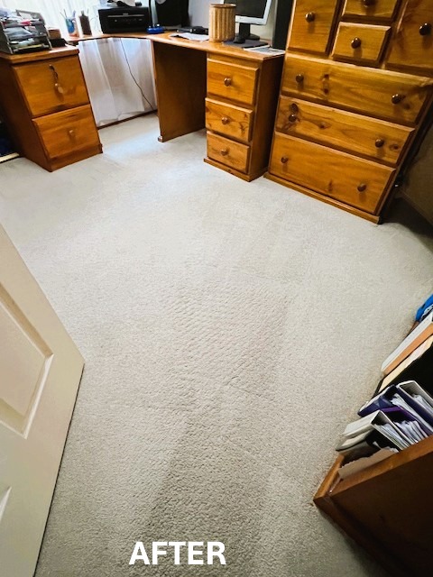 Office home carpet after steam cleaning in Avoca Beach