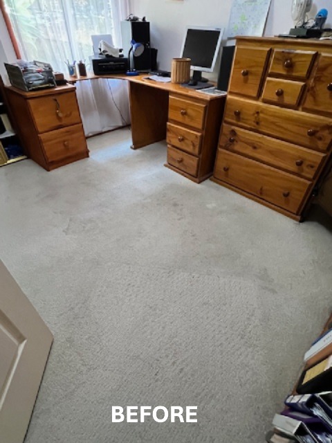 Stained traffic area Avoca Beach home office carpet before carpet cleaning