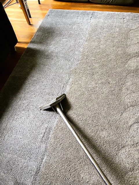 Rug stain removal contrast in Avoca Beach