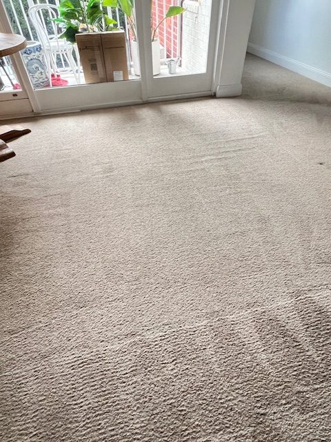 Cleaned refreshed carpet after steam cleaning in Avoca Beach