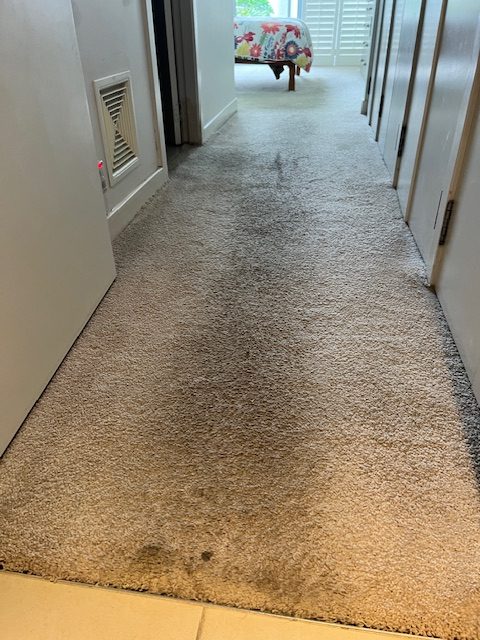 Ensuite room stained entrance in Erina