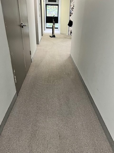 Cleaned refreshed carpet after steam cleaning in Terrigal