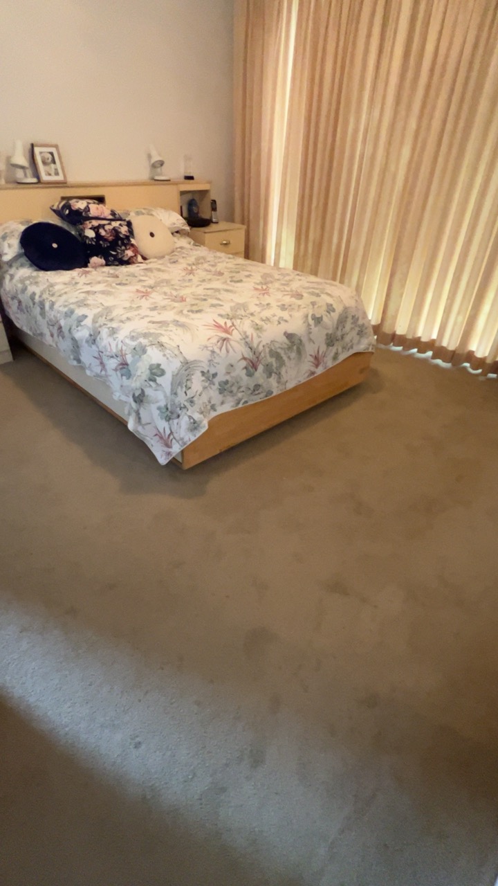 Bedroom AirBnB Rental Before Carpet Cleaning in Terrigal