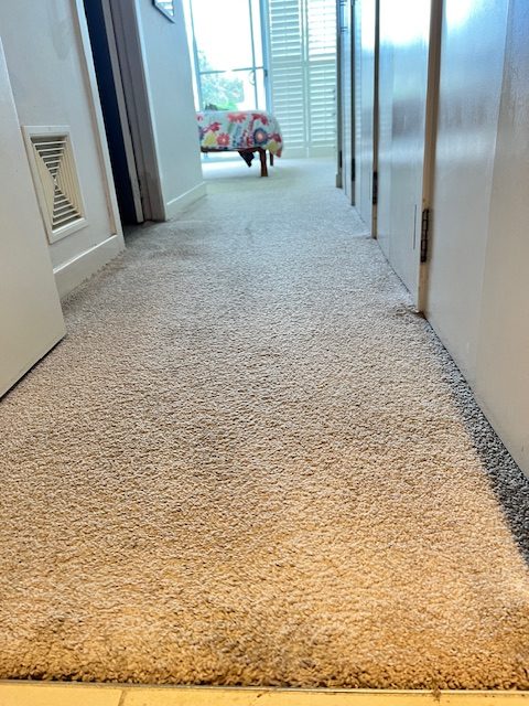 Bedroom carpet entance contrast carpet steam cleaning Erina