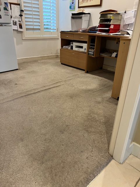 Stained traffic area Erina home office carpet before carpet cleaning