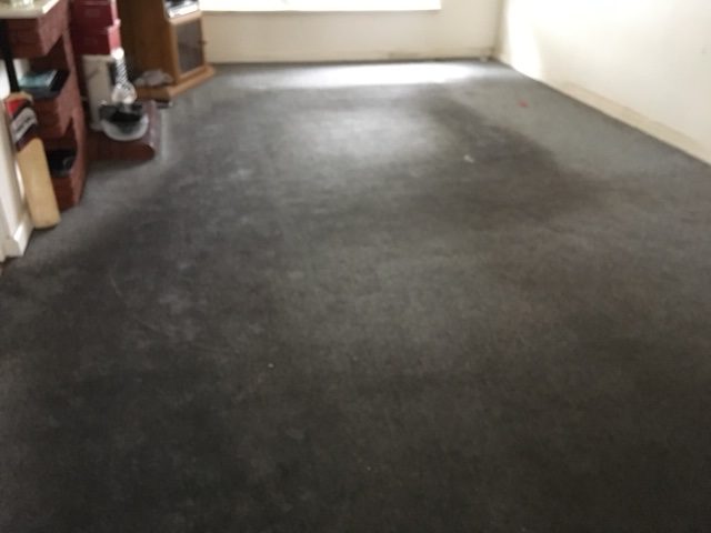 Stained living room carpet before professional steam cleaning in Erina