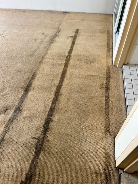 Stained traffic area Terrigal rental carpet before carpet cleaning