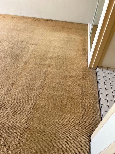 Room rental in Terrigal after professional cleaning